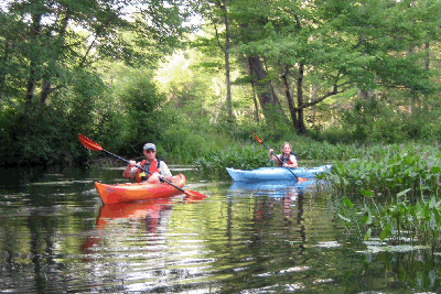 Paddling with Beavers