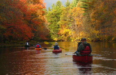 Fall Foliage
